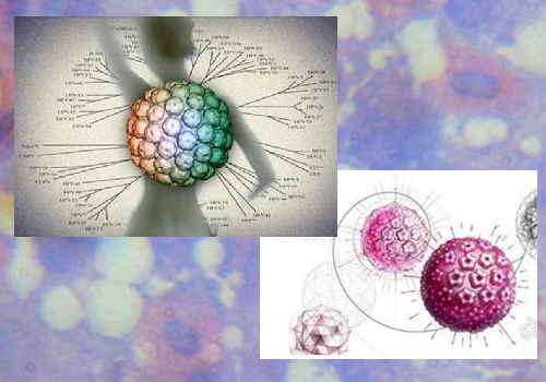 图解HPV、宫颈癌、疫苗三角关系