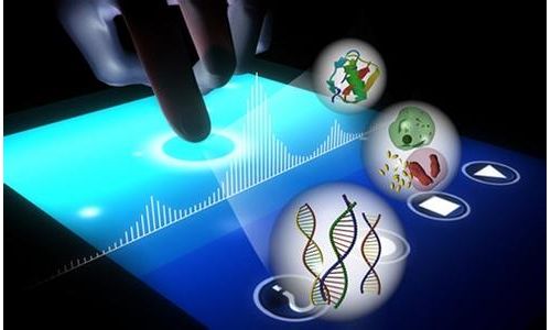 分子诊断临床实验室管理亟待加强