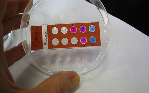 DNA芯片密码系统进入实用阶段