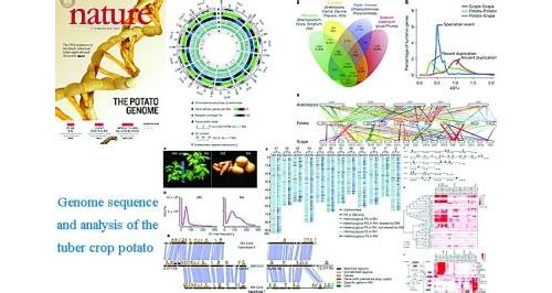 《Nature》公布4种胃癌新分子亚型