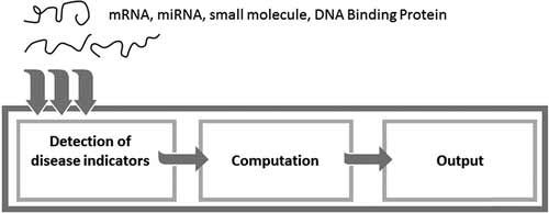 新型生物分子计算机 可实现相关疾病指标检测