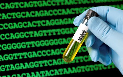 Sci Rep：DNA快速分离术让基因检测更快捷