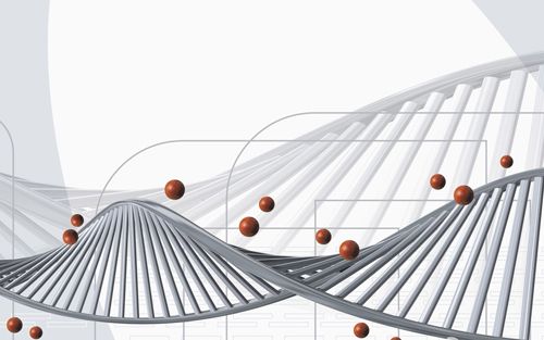 分子诊断前沿：miRNAs的临床应用
