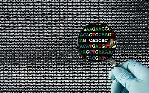 英国欲成为DNA检测行业全球领先者 与Illumina计划革命对抗癌症和罕见病