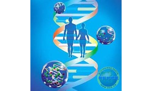 Cell重大成果：癌症基因组诊断新方法问世