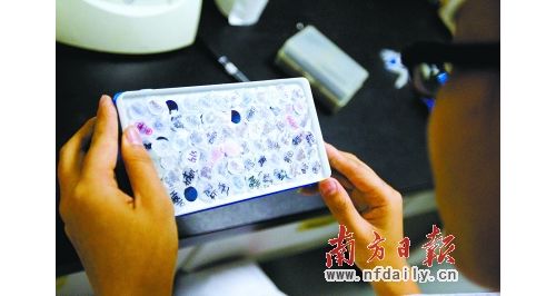 【旧闻新读】个人基因测序： 高端体检走近百姓家