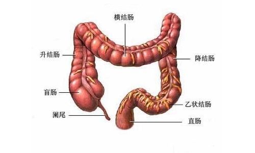 首个中国自主产权的血清胃肠肿瘤标志物诞生