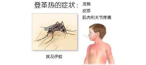 日本开发出10分钟诊断登革热的工具