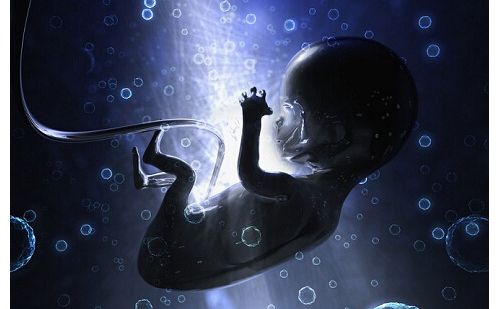 北京生命科学领域前沿技术研究取得重大突破——世界首例MALBAC全基因组扩增测序试...