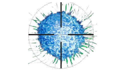 BJC：新生物标志物助力检测大肠癌