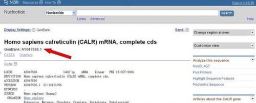 CALR基因或将成为MPN新的分子标志物
