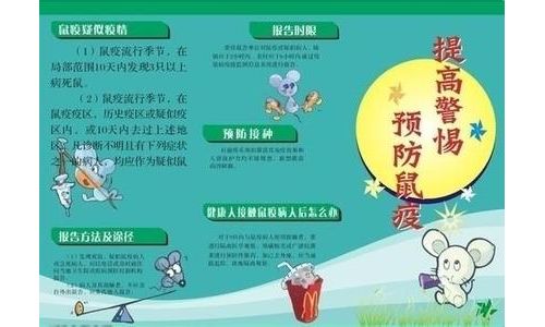 甘肃酒泉发生今年第三起人间鼠疫