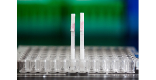 神奇的生物标记物：一勺酸奶就能筛查出结直肠癌