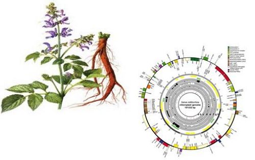 第三代测序技术：PacBio单分子测序最新科研动态