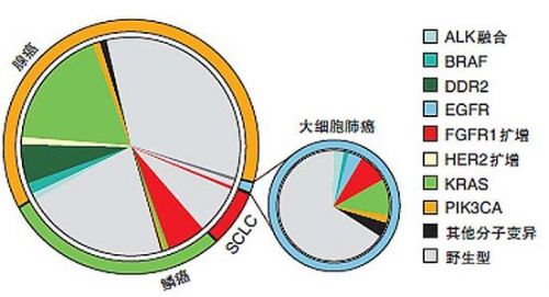 CAP/IASLC/AMP肺癌分子检测指南