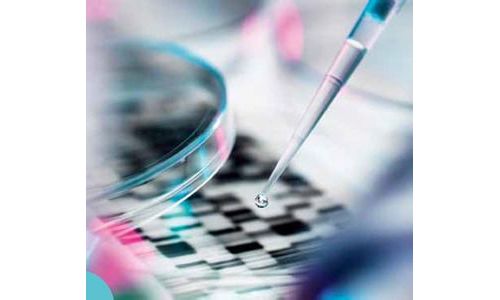 基因诊断行业投资火热 部分技术已应用在临床医学