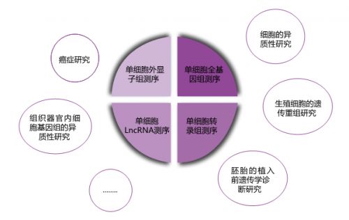 NIH：砸金800万奖励单细胞测序团队 最终花落谁家？