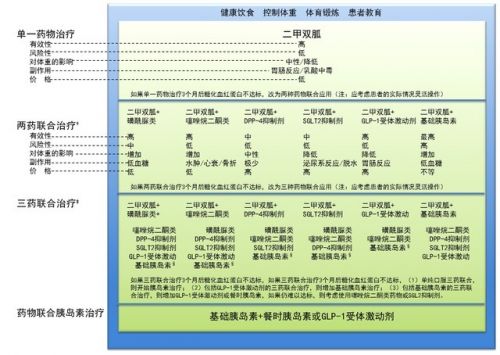 ADA和EASD：2015年2型糖尿病管理指南