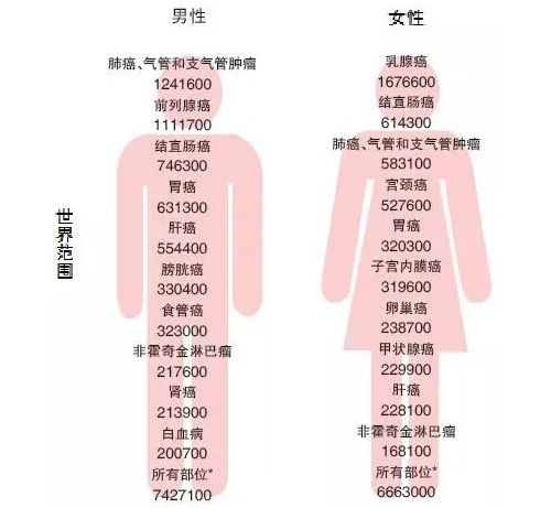 最新全球癌症统计数据