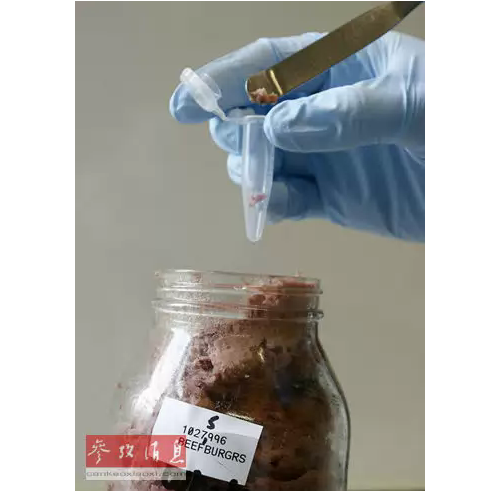 最大表观基因组图谱问世 有助人类理解疾病成因