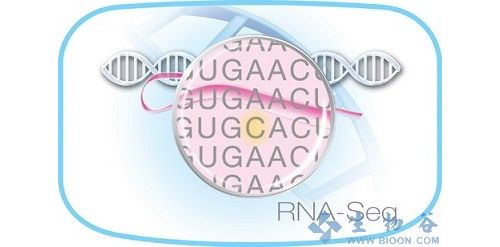 Nature Methods：针对LncRNAs的新型精准基因测序技术