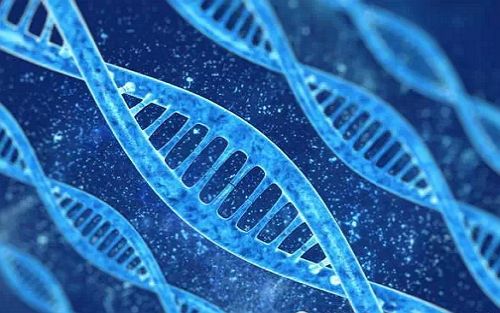 基因科学从1.0到4.0，能带我们走多远？