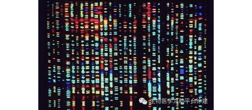 全基因组测序：下一个改变世界的技术