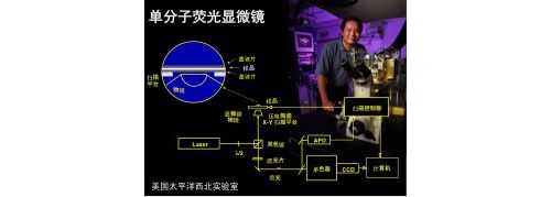 北大谢晓亮教授：单分子技术透视生命之谜