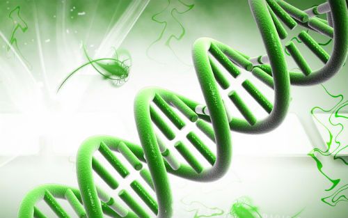 【cfDNA专题】cell-free DNA在非肿瘤疾病中的临床价值