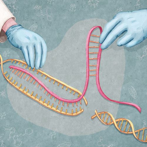 这就是那项把基因界整体吓尿的暗黑科技！【深度技术贴】