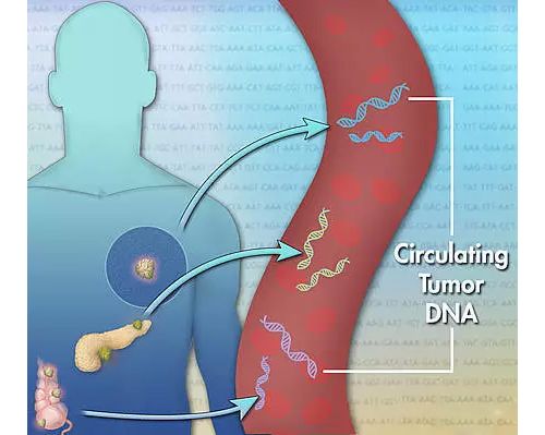 深度：液态活检技术ctDNA CTC的临床应用