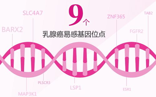 达安基因：用大众基因检测将治“已病”变为治“未病”