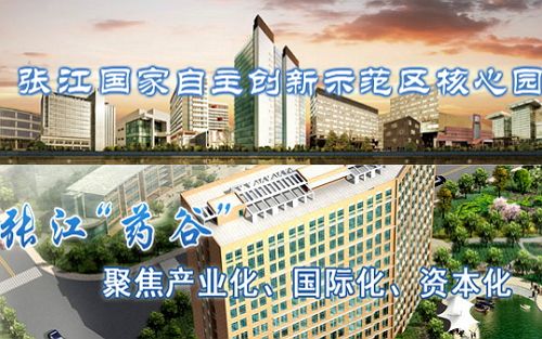 跨国公司亚太研发总部聚集张江 成全国之首（GE、罗氏、ABB、西门子……）