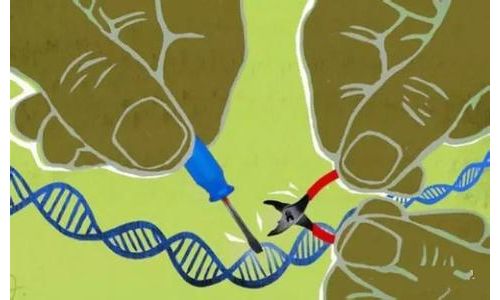 Epic Science将研究单细胞液体活检技术Epic Sciences‘ll find biomarkers in CTCs