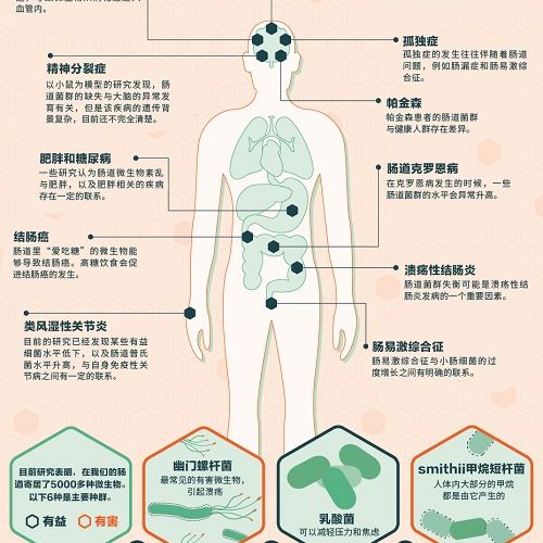 为什么微生物研究最近在医疗科技界火的一塌糊涂？