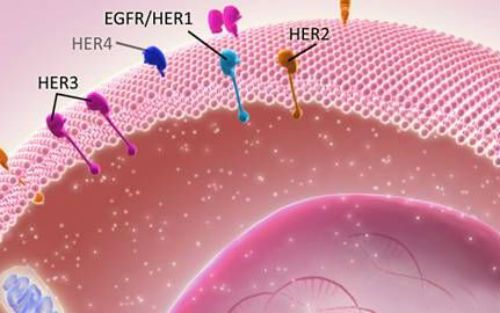 精准医疗下的精准指南：胃/食管癌HER2检测临床应用指南在美启动