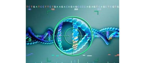 最新RNA分子诊断技术有望用于诊断老年痴呆症