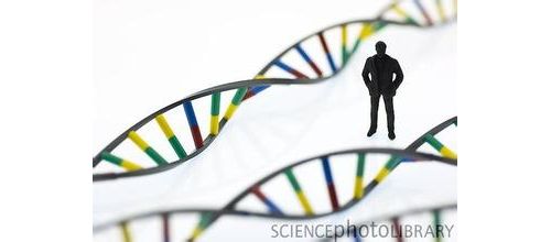 Sci Rep：揭秘新基因SPAG6功能及癌症疗法靶点
