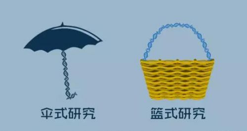 精准医学临床试验之“伞式研究“和“篮式研究”