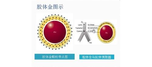 桔林杂谈（3）----纠结的PI+0.5