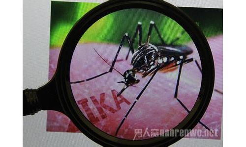 中国率先完成寨卡病毒全基因组序列测定