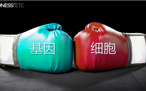 中源协和“基因+免疫细胞”再布局，被上交所“问”出了啥？