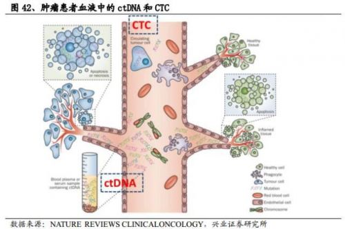 解码生命，精准基石—基因测序行业深度报告（下篇）