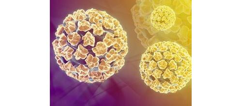 75%女性可能感染HPV 早诊提高宫颈癌前病变治愈率