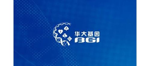 华大系创业帮的故事