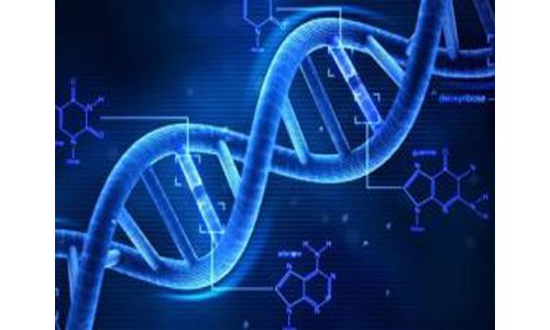 陆舜教授：只有精准医疗才能使肺癌患者最大获益