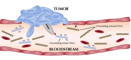 多元化检测技术助力液体活检（ctDNA）临床应用