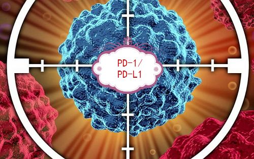 PD-L1抗体药物研发进展大盘点