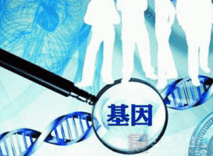 基因检测报告展示——北京信诺佰世医学检验所
