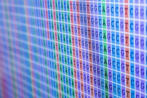 Illumina、23andMe、华大基因等基因科技公司都逃不过这两个类别